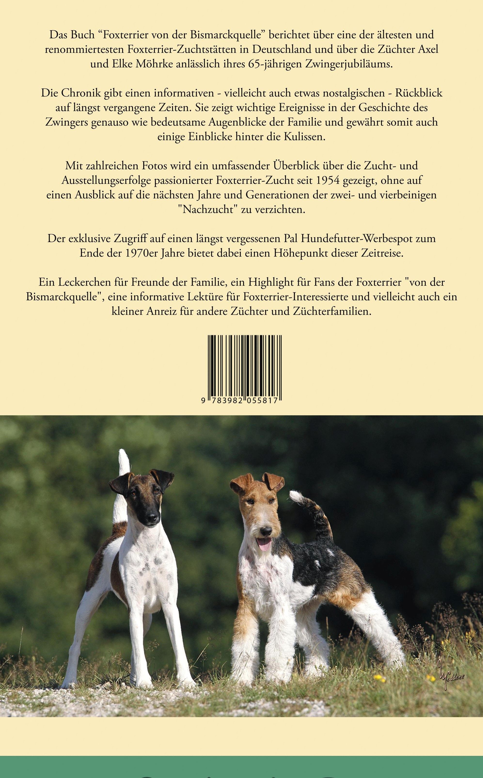 Bild eines Glatthaar-Foxterriers